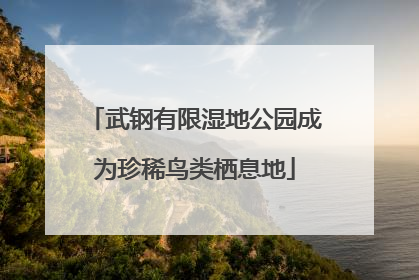 武钢有限湿地公园成为珍稀鸟类栖息地