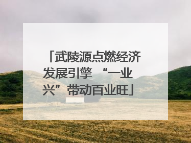 武陵源点燃经济发展引擎 “一业兴”带动百业旺
