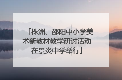 株洲、邵阳中小学美术新教材教学研讨活动在景炎中学举行