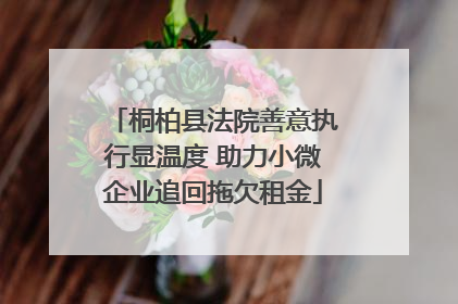 桐柏县法院善意执行显温度 助力小微企业追回拖欠租金