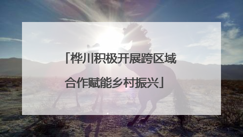 桦川积极开展跨区域合作赋能乡村振兴
