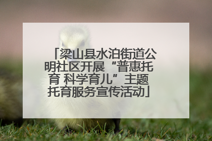梁山县水泊街道公明社区开展“普惠托育 科学育儿”主题托育服务宣传活动