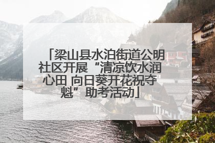梁山县水泊街道公明社区开展“清凉饮水润心田 向日葵开花祝夺魁”助考活动