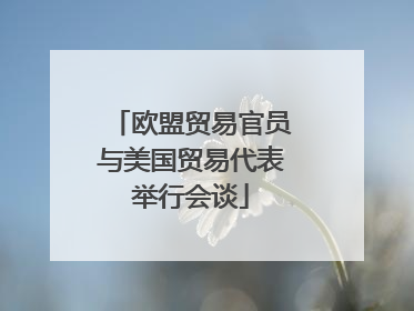 欧盟贸易官员与美国贸易代表举行会谈