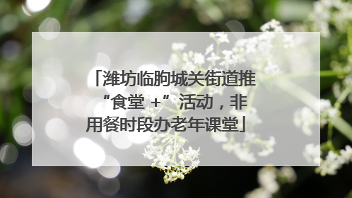 潍坊临朐城关街道推“食堂 +”活动，非用餐时段办老年课堂