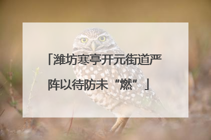 潍坊寒亭开元街道严阵以待防未“燃”