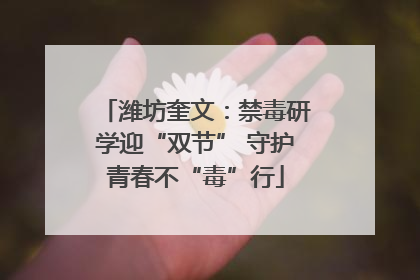 潍坊奎文：禁毒研学迎“双节” 守护青春不“毒”行