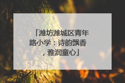 潍坊潍城区青年路小学：诗韵飘香，雅润童心