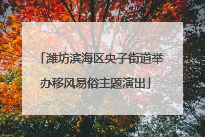潍坊滨海区央子街道举办移风易俗主题演出