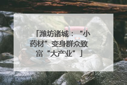 潍坊诸城：“小药材”变身群众致富“大产业”