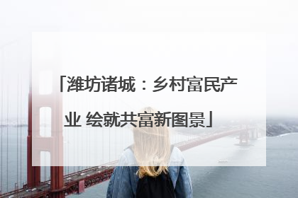 潍坊诸城：乡村富民产业 绘就共富新图景