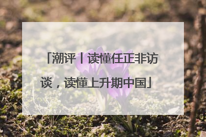 潮评丨读懂任正非访谈，读懂上升期中国
