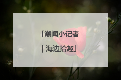 潮闻小记者｜海边拾趣