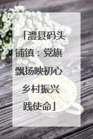 澧县码头铺镇：党旗飘扬映初心 乡村振兴践使命