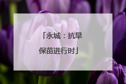 永城：抗旱保苗进行时