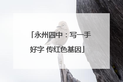 永州四中：写一手好字 传红色基因