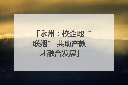 永州：校企地“联姻” 共助产教才融合发展
