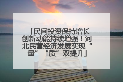 民间投资保持增长 创新动能持续增强！河北民营经济发展实现“量”“质”双提升