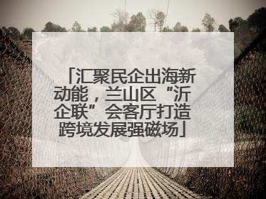 汇聚民企出海新动能，兰山区“沂企联”会客厅打造跨境发展强磁场