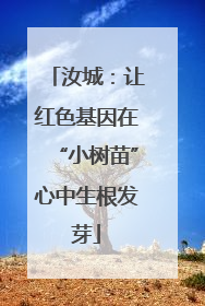汝城：让红色基因在“小树苗”心中生根发芽