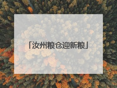 汝州粮仓迎新粮