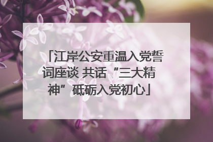 江岸公安重温入党誓词座谈 共话“三大精神”砥砺入党初心