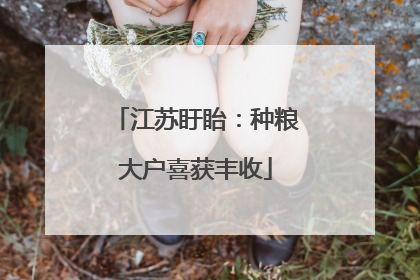 江苏盱眙：种粮大户喜获丰收