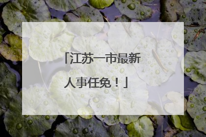 江苏一市最新人事任免！