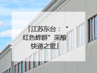 江苏东台：“红色蜂群”采酿快递之蜜