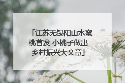 江苏无锡阳山水蜜桃首发 小桃子做出乡村振兴大文章