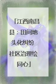 江西南昌县：田间地头化纠纷 社区治理绘同心
