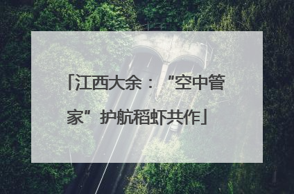 江西大余：“空中管家”护航稻虾共作