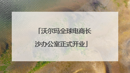 沃尔玛全球电商长沙办公室正式开业