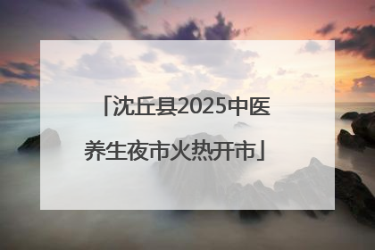 沈丘县2025中医养生夜市火热开市