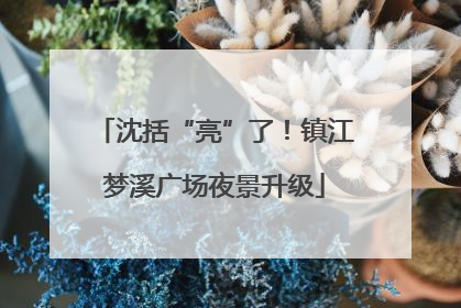 沈括“亮”了！镇江梦溪广场夜景升级