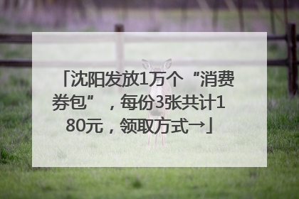 沈阳发放1万个“消费券包”，每份3张共计180元，领取方式→