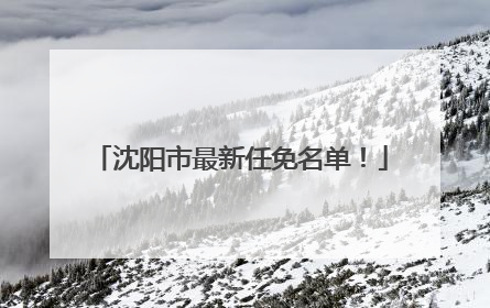 沈阳市最新任免名单！