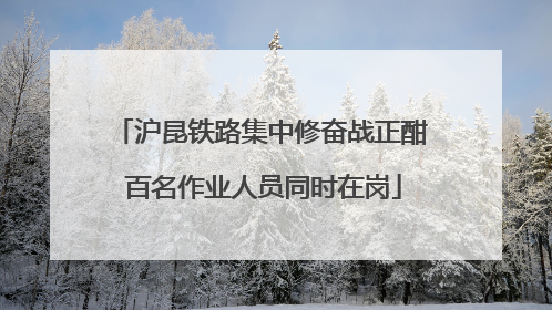 沪昆铁路集中修奋战正酣 百名作业人员同时在岗