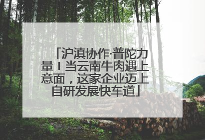 沪滇协作·普陀力量〡当云南牛肉遇上意面，这家企业迈上自研发展快车道