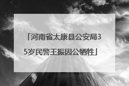 河南省太康县公安局35岁民警王振因公牺牲