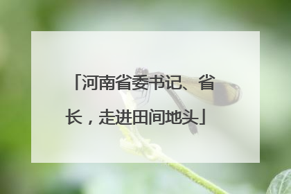 河南省委书记、省长，走进田间地头