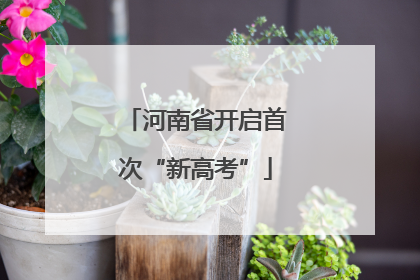 河南省开启首次“新高考”