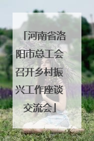 河南省洛阳市总工会召开乡村振兴工作座谈交流会