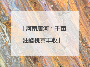 河南唐河：千亩油蟠桃喜丰收