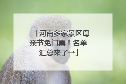 河南多家景区母亲节免门票！名单汇总来了→