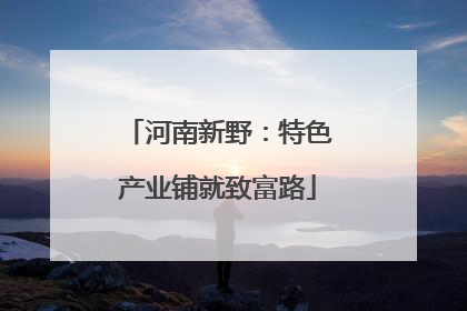 河南新野：特色产业铺就致富路