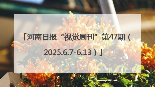 河南日报“视觉周刊”第47期（2025.6.7-6.13）