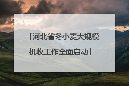 河北省冬小麦大规模机收工作全面启动