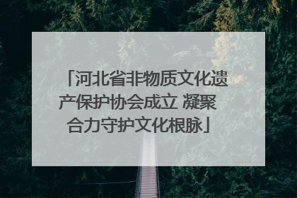 河北省非物质文化遗产保护协会成立 凝聚合力守护文化根脉