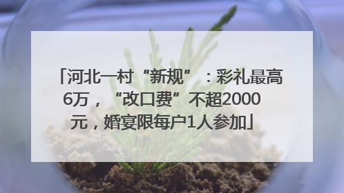 河北一村“新规”：彩礼最高6万，“改口费”不超2000元，婚宴限每户1人参加